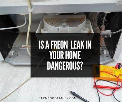 can freon leak into your house|Is A Freon Leak In Your Home Dangerous